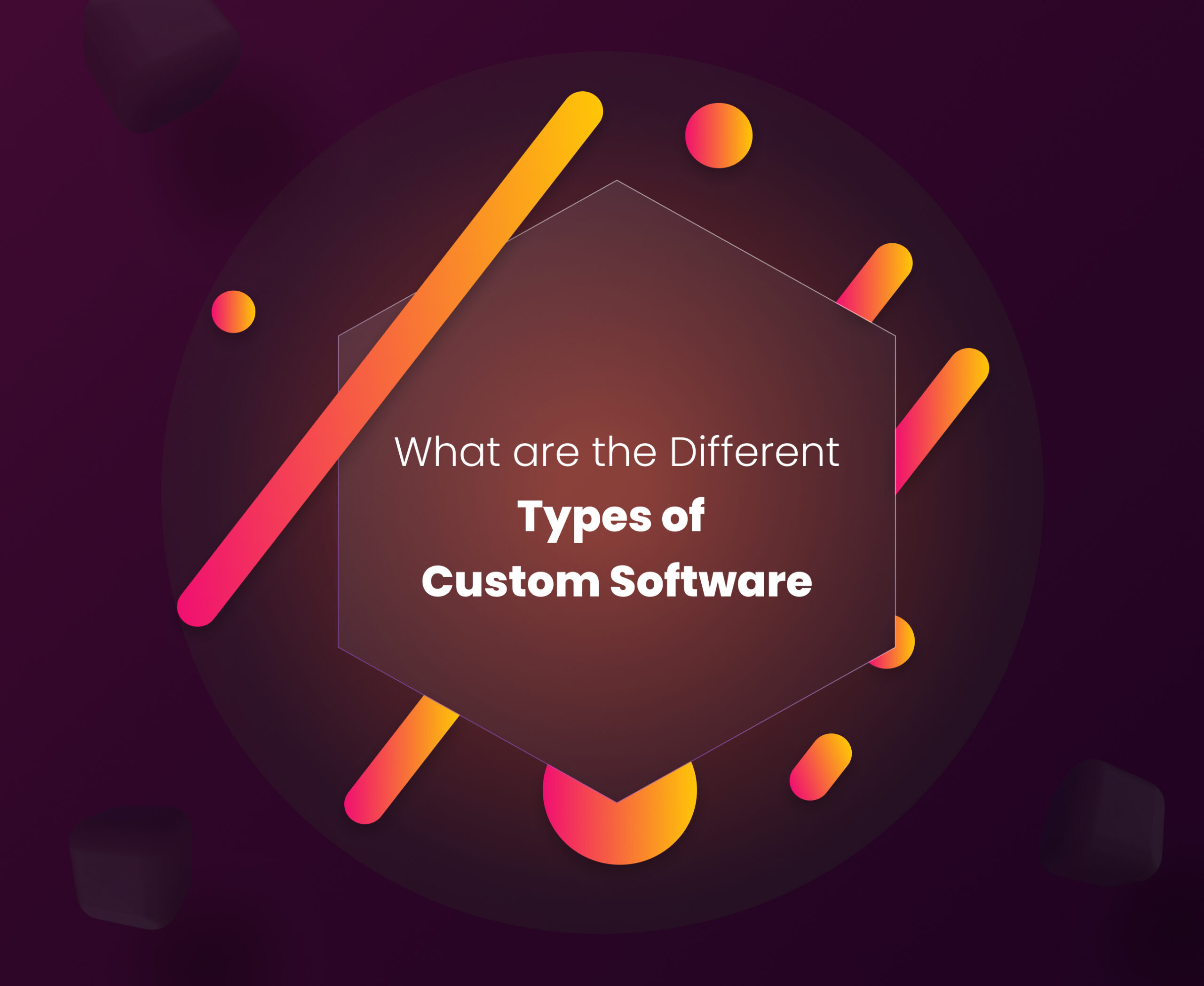ypes of Custom Software